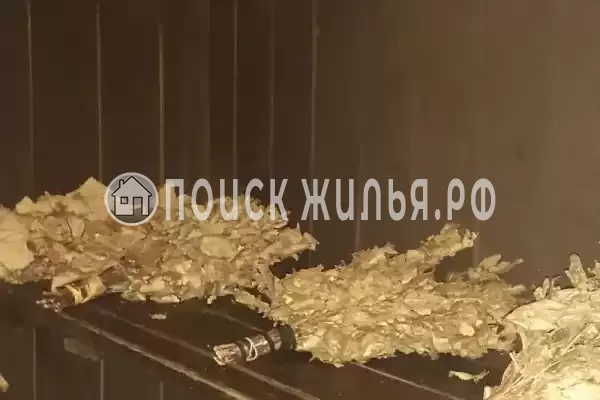 Гостевой дом «У моря», Гагра