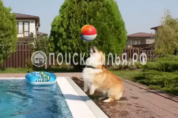 Частный сектор «Коттедж на 2 линии от моря», Пересыпь Частный сектор «Коттедж на 2 линии от моря», Пересыпь