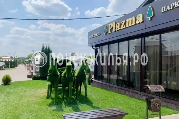 Гостиница «Плазма», Донской