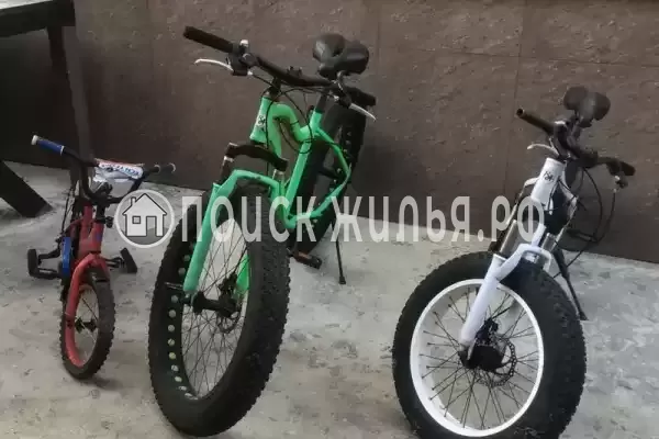 «Аида», Лоо «Аида», Лоо