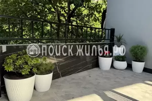 Гостевой дом «Хашупс-Хаус», Цандрипш