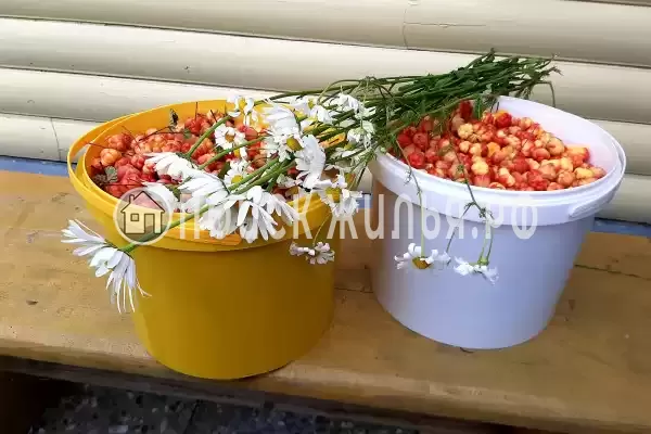 Гостиница «Сегежа», Сегежа