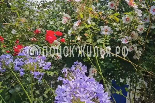 Частный сектор «Дом в национальном парке», Сочи