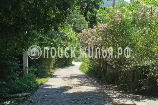 Частный сектор «Дом в национальном парке», Сочи