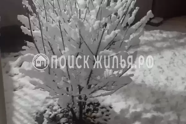 Гостиница, Чукбар 1 переок, д.14, Сухум