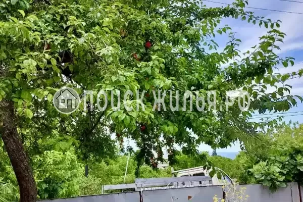 Частный сектор «У Роберта и Риты», Вишневка