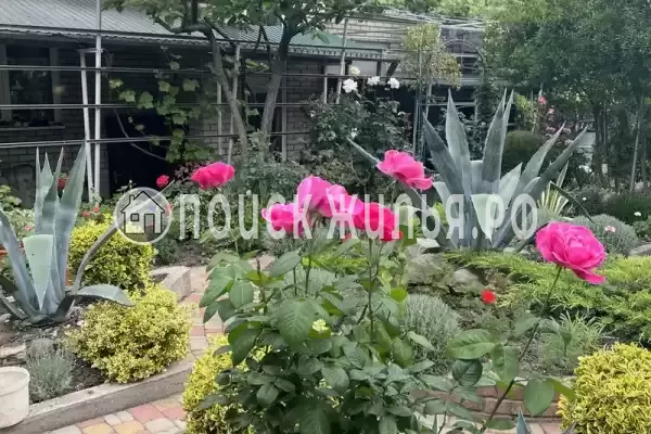 «На Вильямса», Геленджик