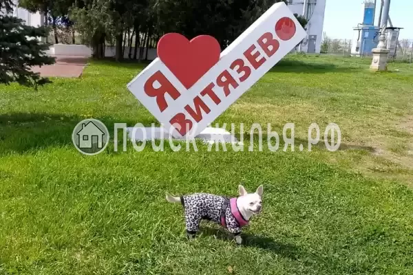 Частный сектор «У АрсиКа», Витязево Частный сектор «У АрсиКа», Витязево