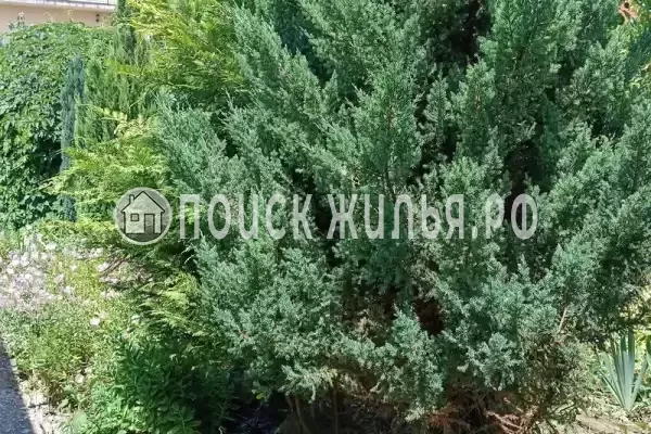 Частный сектор «У АрсиКа», Витязево Частный сектор «У АрсиКа», Витязево