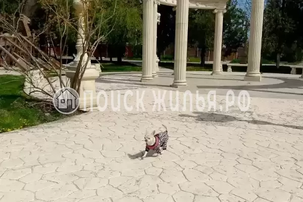 Частный сектор «У АрсиКа», Витязево Частный сектор «У АрсиКа», Витязево