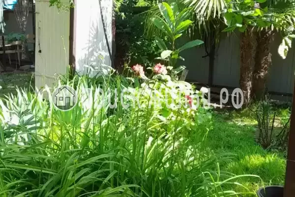 «У Натали», Головинка «У Натали», Головинка