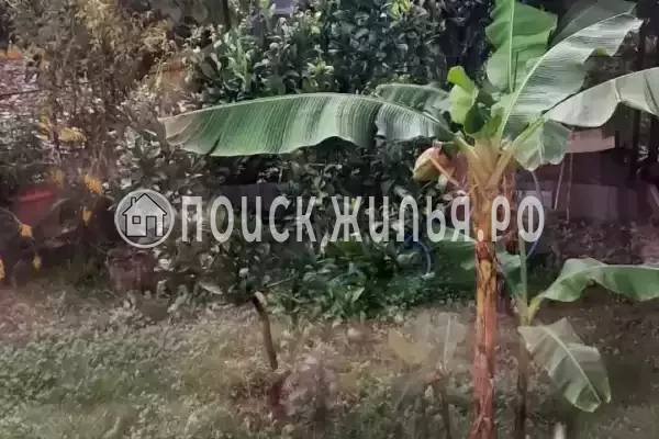 Гостевой дом «Цандрипш», Цандрипш Гостевой дом «Цандрипш», Цандрипш