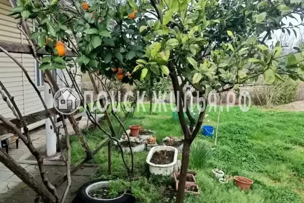 Гостевой дом «Цандрипш», Цандрипш Гостевой дом «Цандрипш», Цандрипш