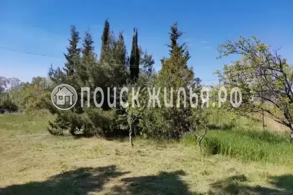 «Eco botanica», Судак «Eco botanica», Судак