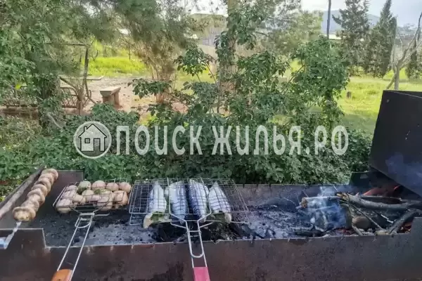 «Eco botanica», Судак «Eco botanica», Судак