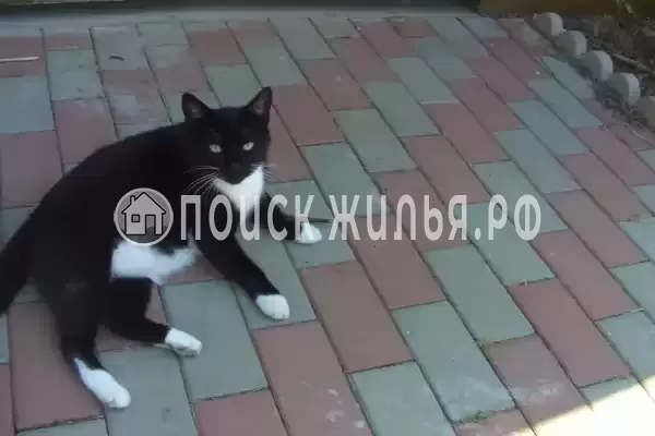 Частный сектор «Домик под ключ на Комсомольской», Пересыпь Частный сектор «Домик под ключ на Комсомольской», Пересыпь