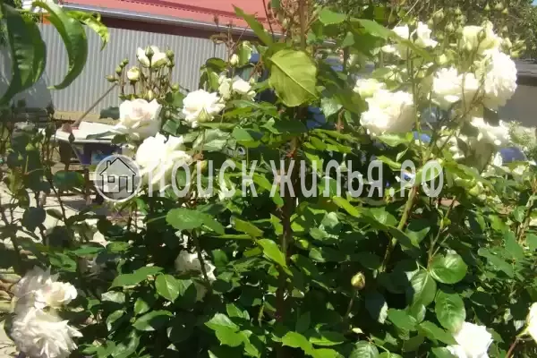 Частный сектор «Домик под ключ на Комсомольской», Пересыпь Частный сектор «Домик под ключ на Комсомольской», Пересыпь