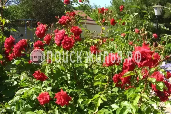 Частный сектор «Домик под ключ на Комсомольской», Пересыпь Частный сектор «Домик под ключ на Комсомольской», Пересыпь