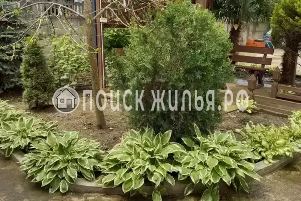 «Тропиканка», Лоо «Тропиканка», Лоо