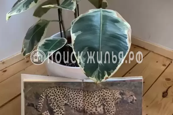 Отель «Дом с Л.Н. Толстым», Калининград Отель «Дом с Л.Н. Толстым», Калининград