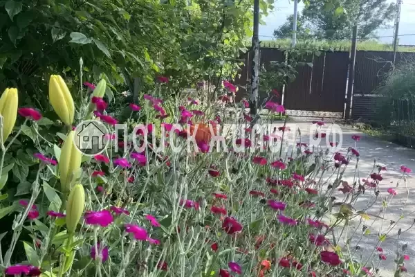 Частный сектор «Частный дом Traum», Цандрипш