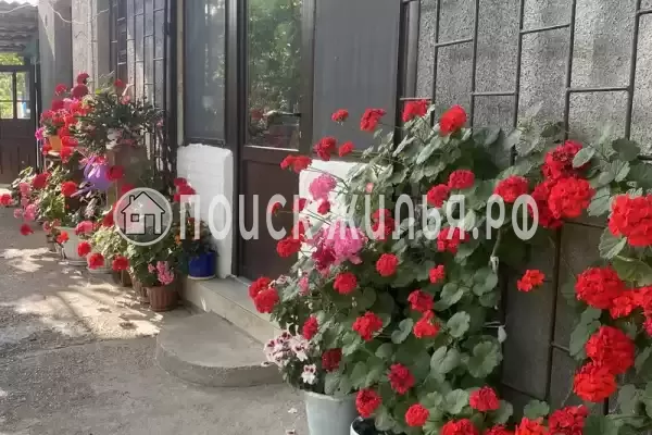 Частный сектор «Частный дом Traum», Республика Абхазия, Цандрипш, Железнодорожная, д.13