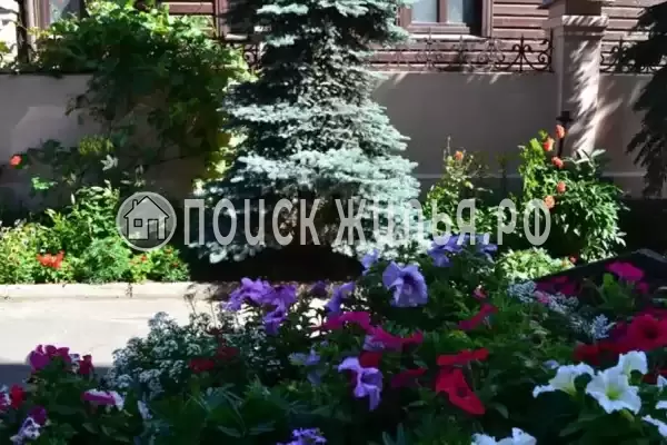«MK Sholk», Кострома