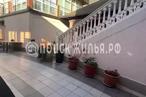 «Family», Адлер