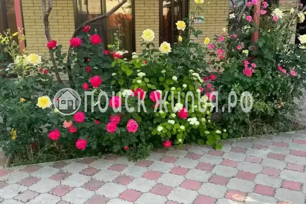 «Афина», Витязево