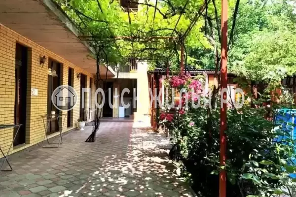 «Афина», Витязево