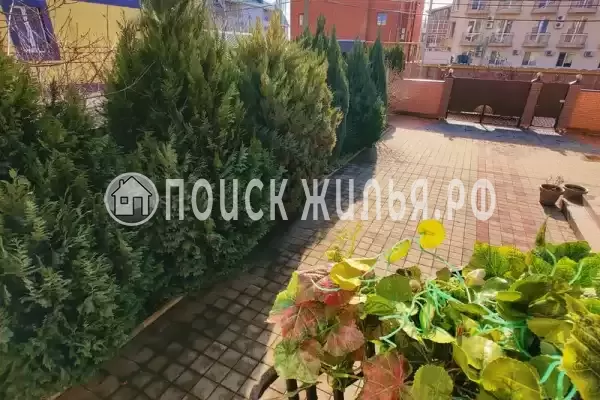 «Парфена», Витязево