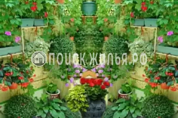 «У Эммы», Лазаревское