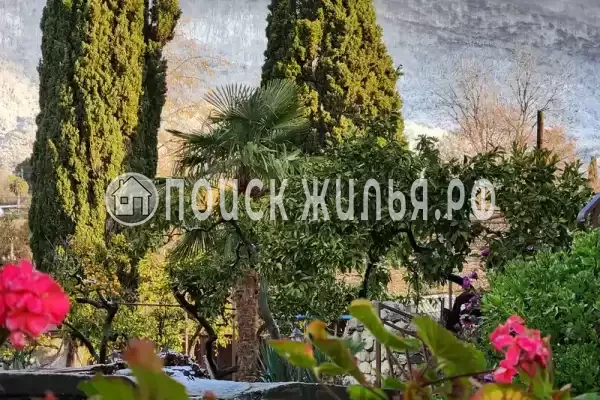 Гостевой дом «Таруса», Новый Афон Гостевой дом «Таруса», Новый Афон