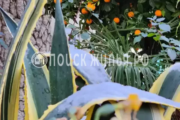 Гостевой дом «Таруса», Новый Афон Гостевой дом «Таруса», Новый Афон