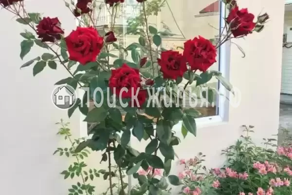 «Летний Бриз», Вардане «Летний Бриз», Вардане