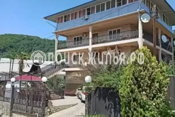 «Золотая рыбка»