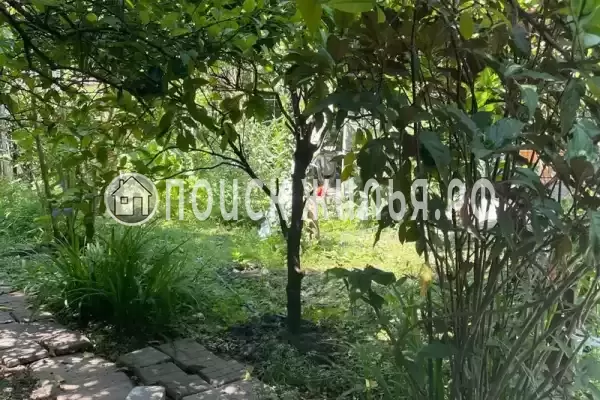 Частный сектор «У Кристины», Гагра Частный сектор «У Кристины», Гагра