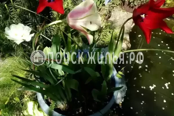 Частный сектор «Семейный», Головинка