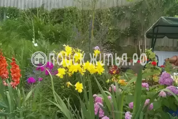 Частный сектор «Семейный», Головинка