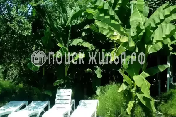 Частный сектор «Семейный», Головинка