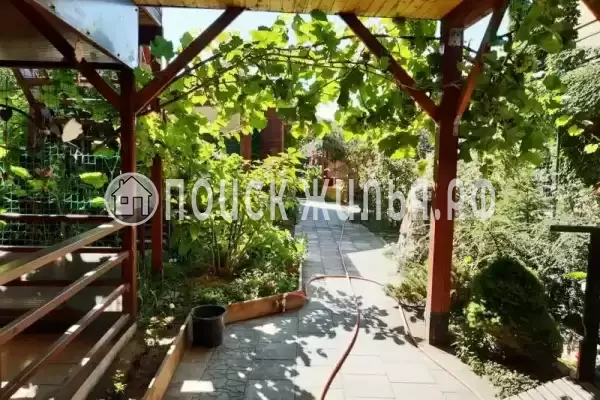 «Алита», Кучугуры