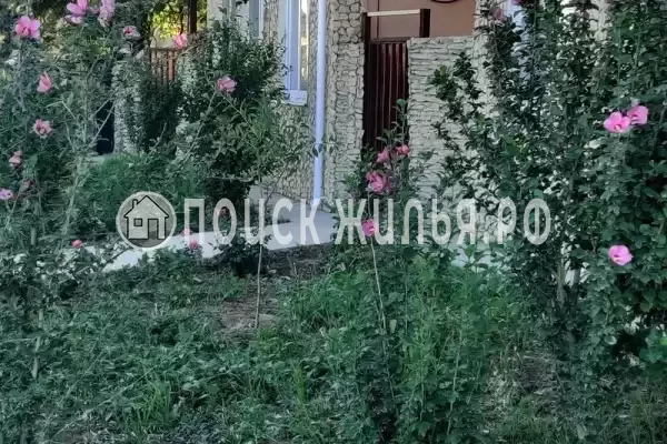 «Дакадан», Кучугуры