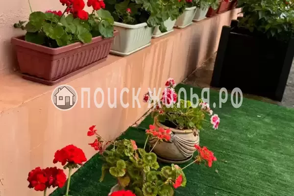 Гостевой дом «Сакура», Вардане