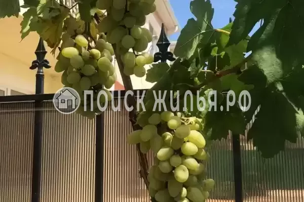 Частный сектор «Комната под ключ», Джемете