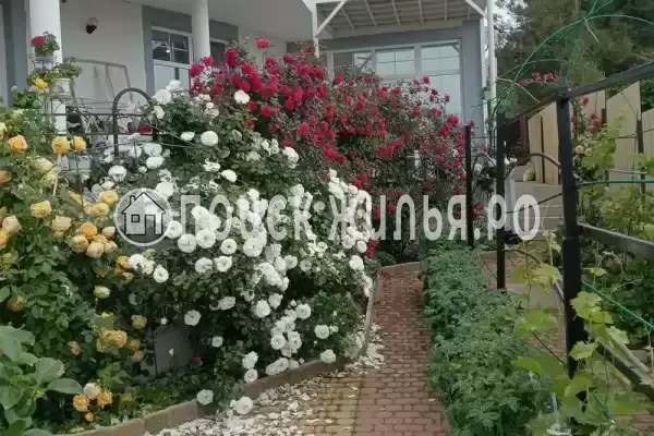 Частный сектор, Краснодарская, д.11, Геленджик Частный сектор, Краснодарская, д.11, Геленджик