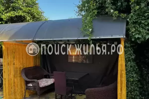 «Фламинго», Адлер