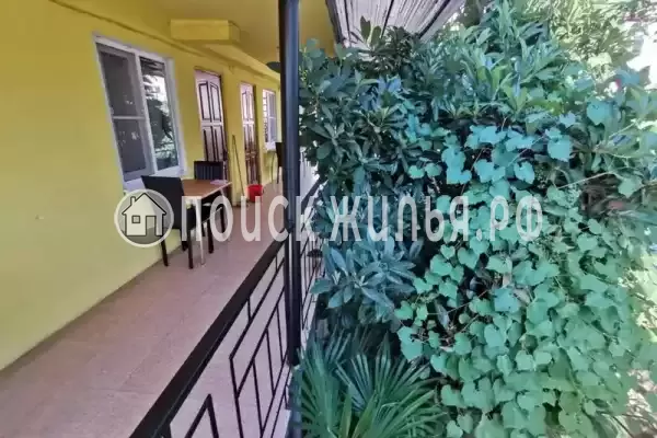 «Фламинго», Адлер