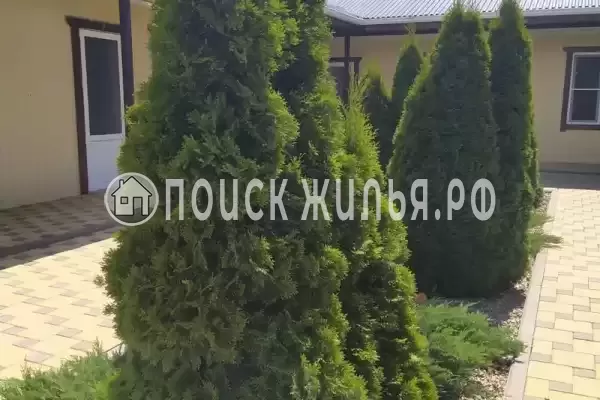 «Морская звезда», Кучугуры