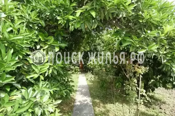 Гостевой дом «На Речной 45», Пицунда