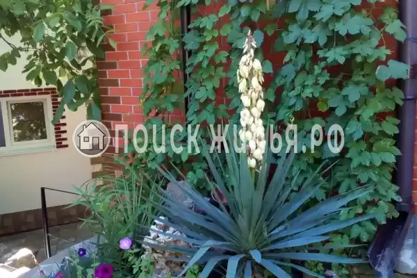 «Мария», Республика Крым, Коктебель, Ленина, д.110 «Мария», Республика Крым, Коктебель, Ленина, д.110